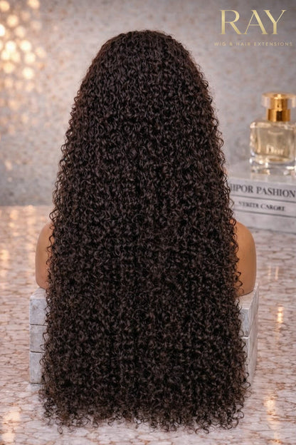 Burmese Curly 13x4 HD Lace Frontal Wig